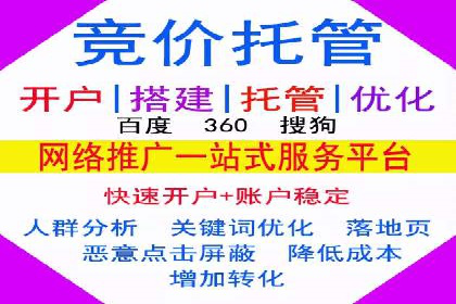 某SEM外包公司广告投放策略及效果评估